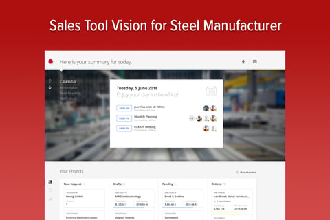 Sales Tool Vision for Steel Manufacturer project