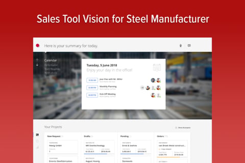 Sales Tool Vision for Steel Manufacturer project