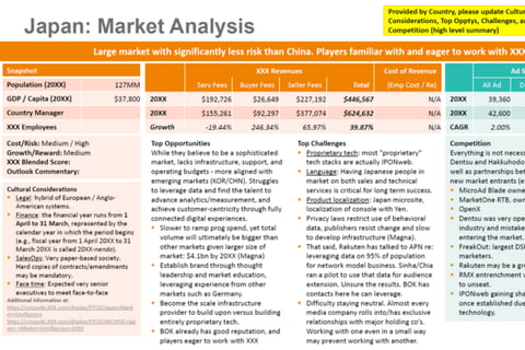 Aided the CEO and President in Developing and Tuning Go-to-market Strategies project