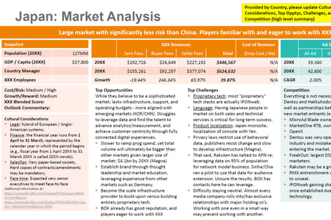 Aided the CEO and President in Developing and Tuning Go-to-market Strategies project