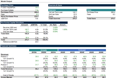 Financial Model for Private Equity Investment project