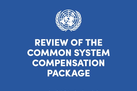 Brand Strategy and Change Management Campaign for the United Nation System Global Workforce project