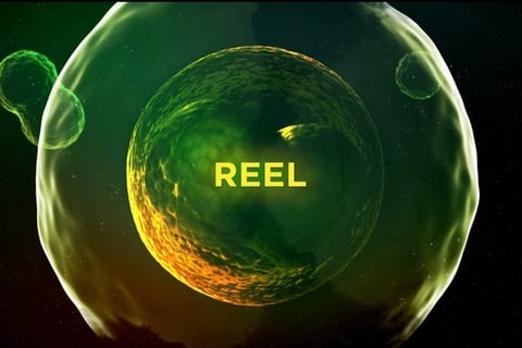 Bill Hoffman: Demo Reel project
