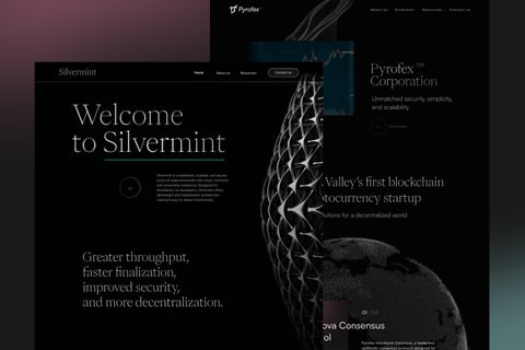 Pyrofex & Silvermint project