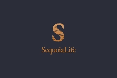 Brand Identity | Sequoia project