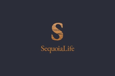Brand Identity | Sequoia project