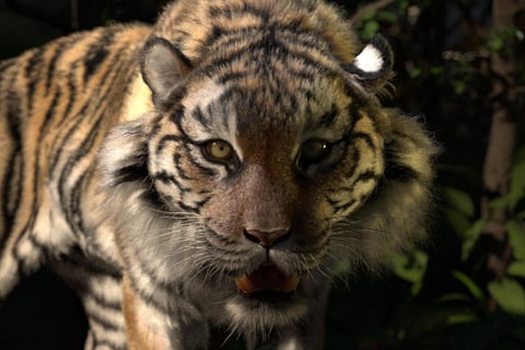 Digital Tiger project