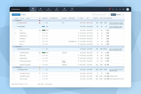 Project Management Software project
