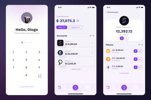 Multi-chain Crypto Wallet | Standard project