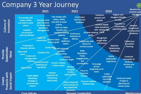 Three-year Strategy project