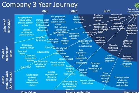 Three-year Strategy project