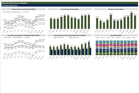 Consolidated P&L and Management Dashboard for Portfolio of Three Businesses project