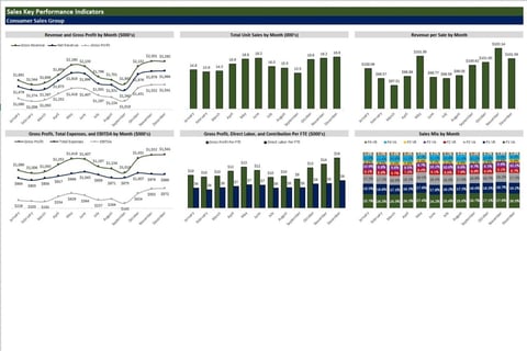 Consolidated P&L and Management Dashboard for Portfolio of Three Businesses project