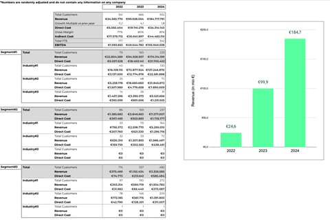 Fully Automated Financial Model Used in Series B Funding Round project