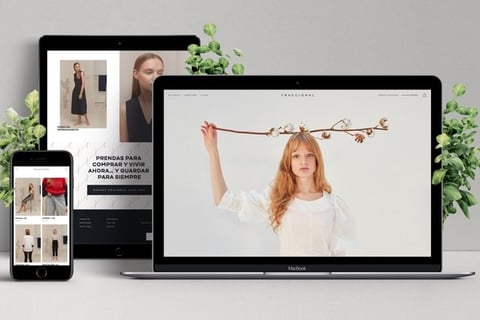 Branding and eCommerce Design for Fraccional project