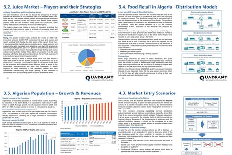 Market Entry Strategy for a Prominent Middle Eastern Dairy/Juice Producer project