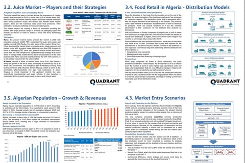 Market Entry Strategy for a Prominent Middle Eastern Dairy/Juice Producer project