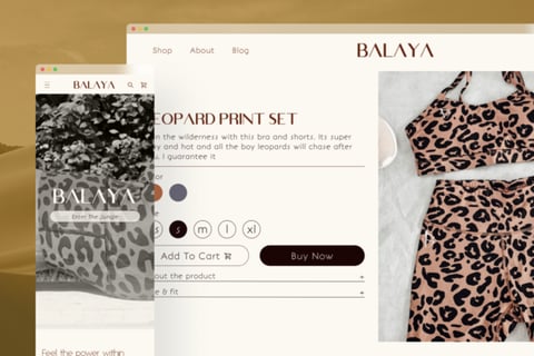 UI/UX Design for an eCommerce Website project
