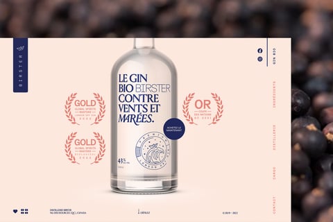 Birster Organic Gin | Brand Identity project