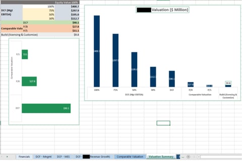 Equity Valuation in a $100 Million Acquisition for a Key Player in the Digital Transmission Space project