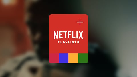 Netflix (Concept Project) project