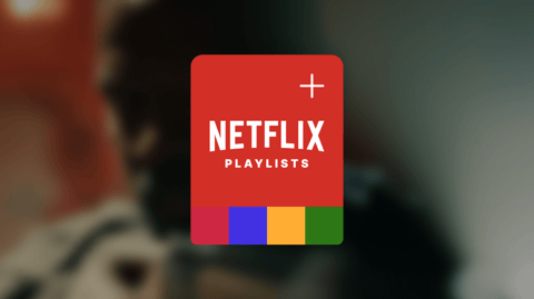 Netflix (Concept Project) project