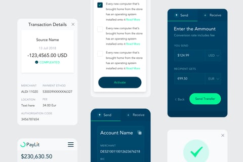Paylit project
