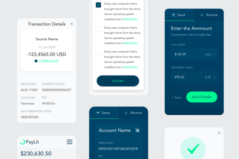 Paylit project