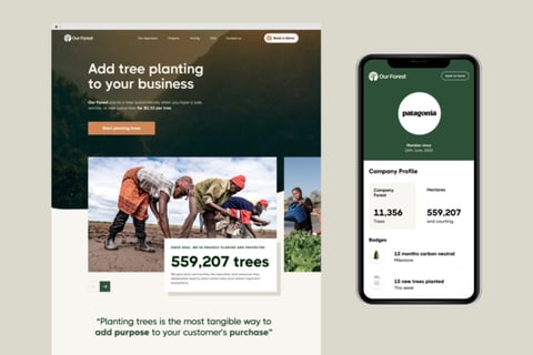 Our Forest project