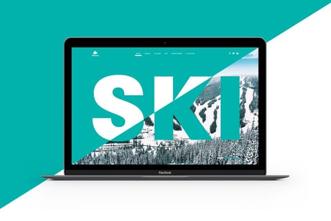 Stenson Website Design project