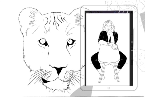 Selected Digital Illustrations project