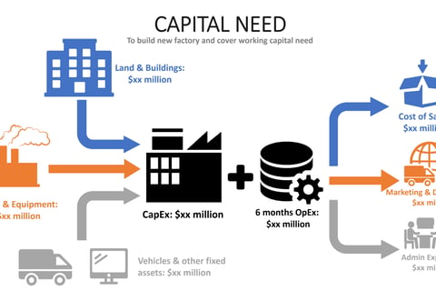 Valuation Advisory, Pitch Deck, Financial Model, and Capital Needs Assessment project