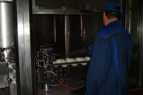 Cost Reduction and Headcount Optimization at a Dairy Company project