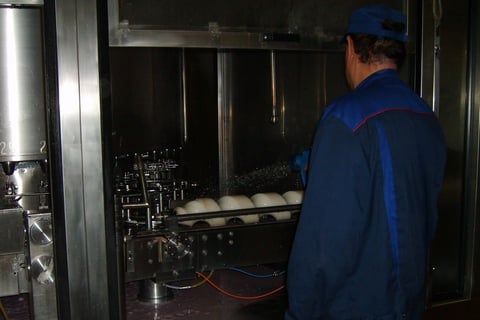 Cost Reduction and Headcount Optimization at a Dairy Company project
