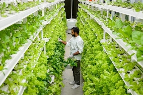 Food-tech Investment Pipeline Development for a Venture Capital Company project