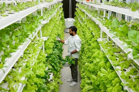 Food-tech Investment Pipeline Development for a Venture Capital Company project