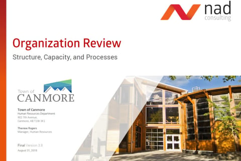 Organization-wide Review of Services, Structure, Processes, and Capacity | Client Report project