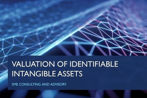 Intangible Asset Valuation project