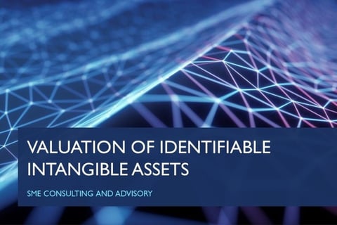 Intangible Asset Valuation project
