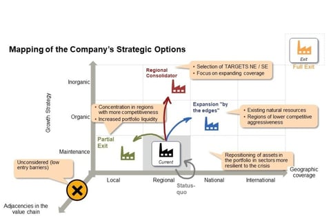 Strategic Options for a Family Business Portfolio Company project