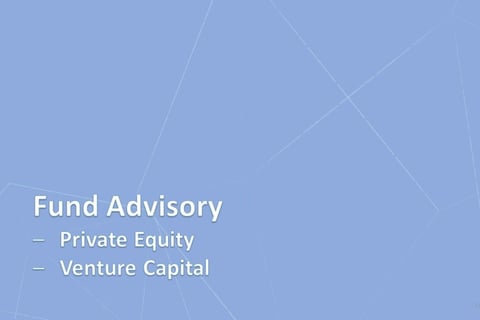 Private Equity and Venture Capital Fund Advisory project