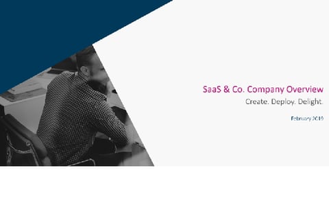 SaaS & Co | Company Overview project