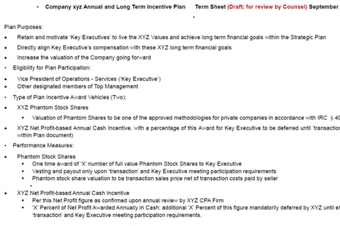 Annual and Long Term Incentive Plan and Financial Modeling project