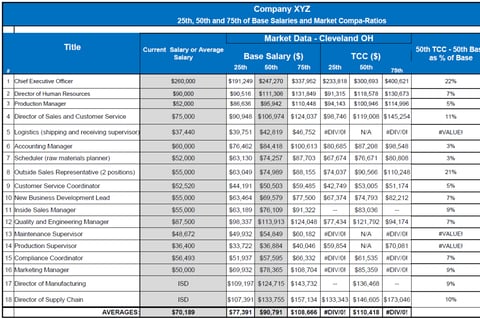 Small Company Salary, Total Cash, and Compa-ratio Analysis project