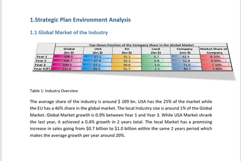Strategic Planning for a National Retail Chain project