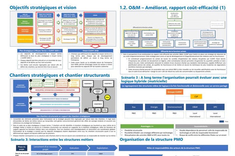 Strategic Planning and Organizational Design for a Water Desalination Company project