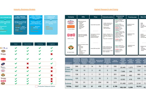 Investment Feasibility Analysis for a Leading Company project