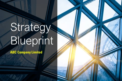 Strategy Development of a Manufacturing Company project