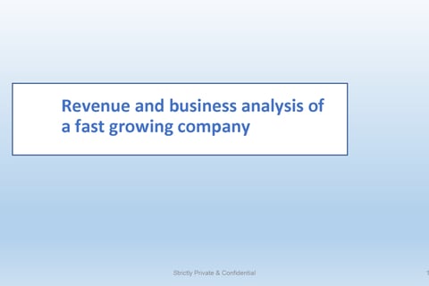 Revenue and Business Analysis of A Fast Growing Company project