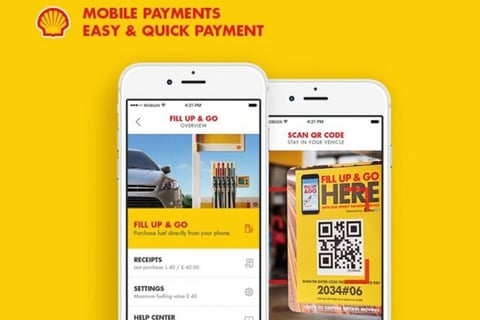 Mobile App Development, Launch and Management project